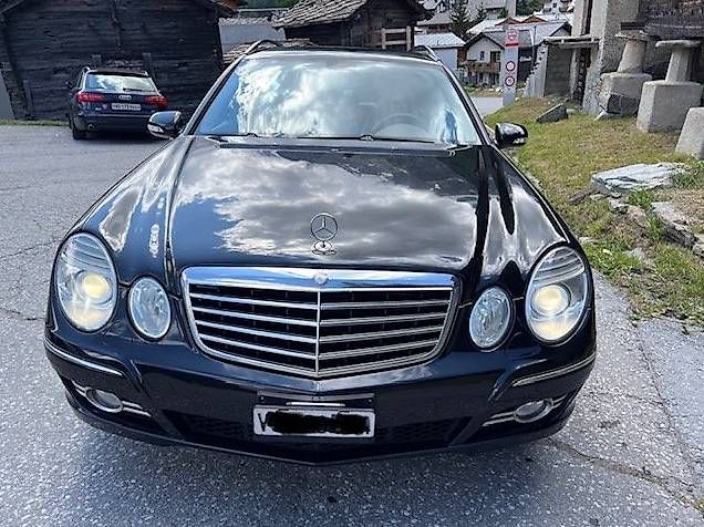 Magnifica Mercedes Lady owner