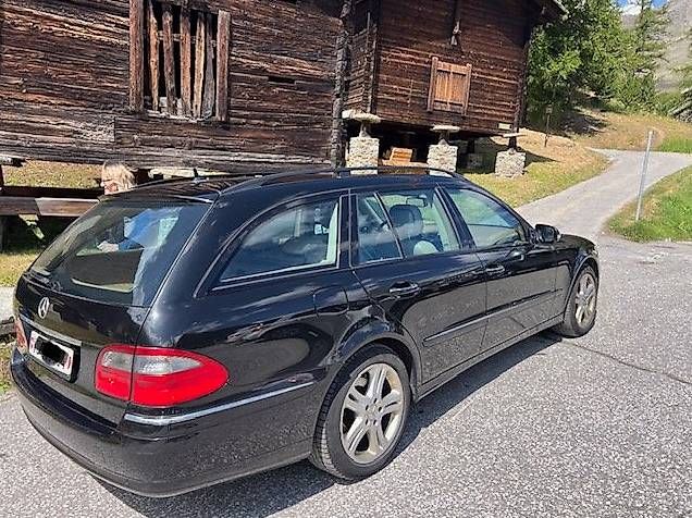 Magnifica Mercedes Lady owner - Image 2