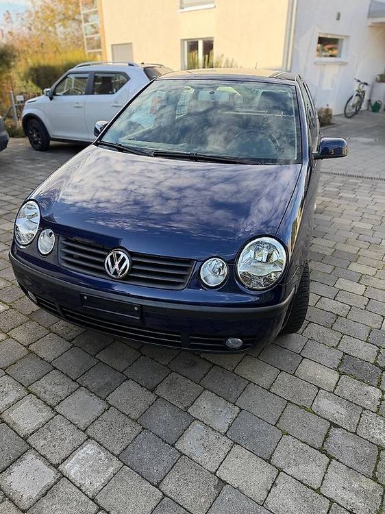 Top auto invernale - fresco da MFK - pneumatici invernali