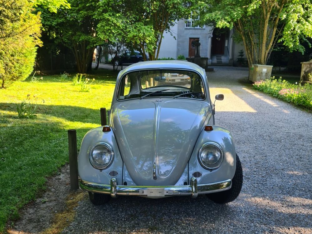 VW Käfer
