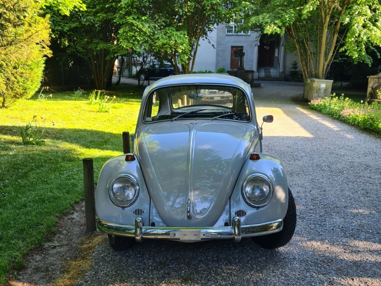 VW Käfer - Image 1