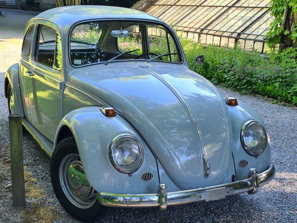 VW Käfer - Image 2