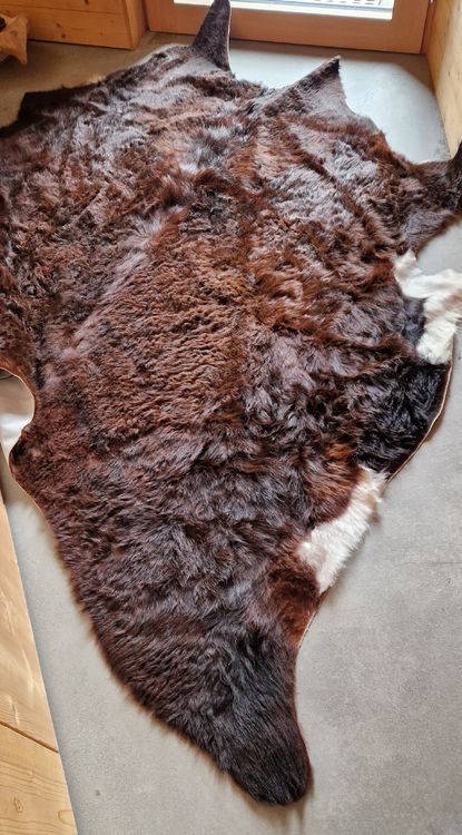 pelle di mucca, marrone