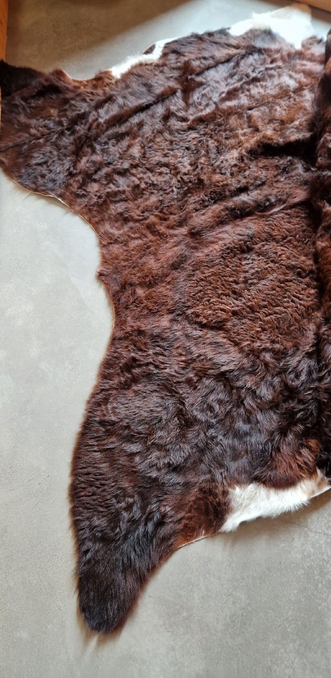 pelle di mucca, marrone - Image 3
