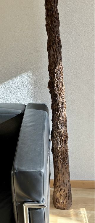 Tronco di legno con tracce di termiti dalla Serengeti - Image 2