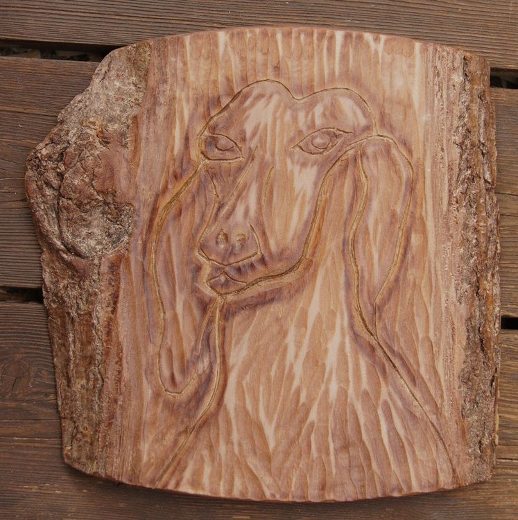 Scatola scultura: testa di cucciolo
