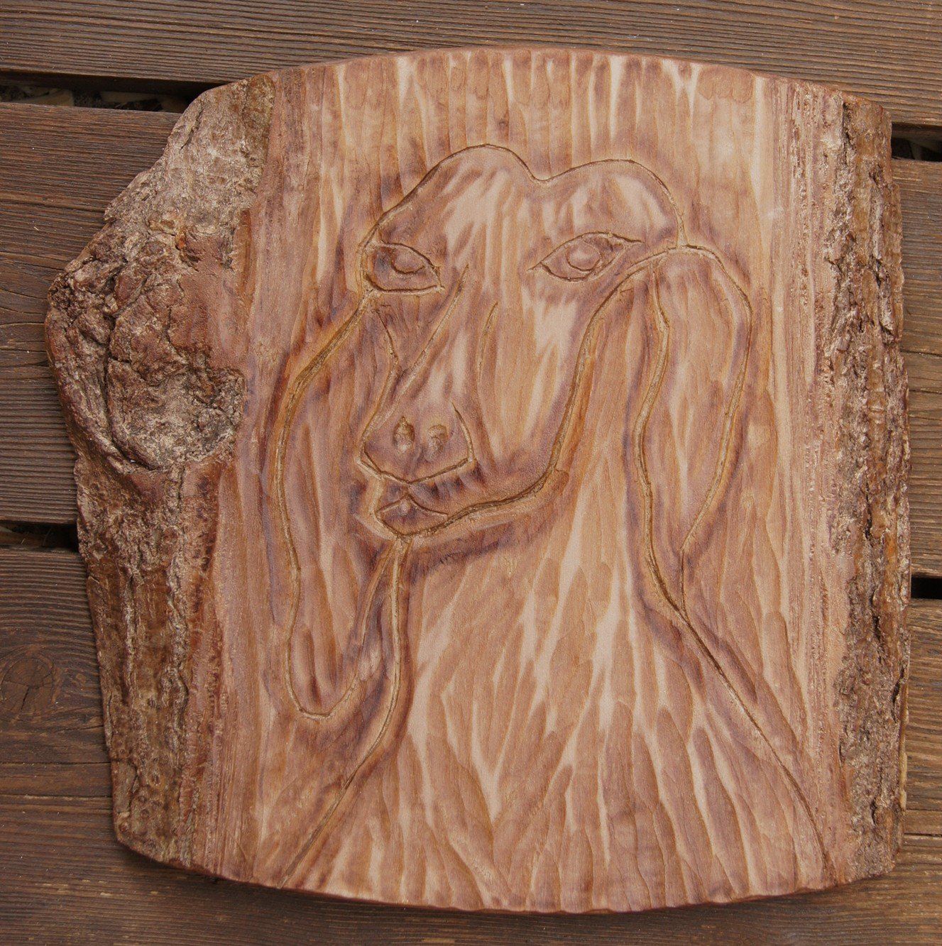 Scatola scultura: testa di cucciolo - Image 1