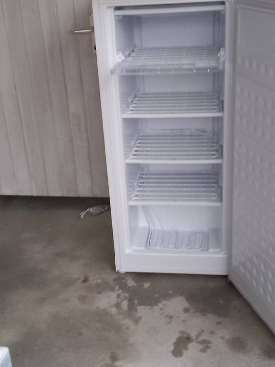 Congelatore 140 L