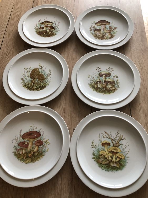 6 Piatti con motivo di funghi