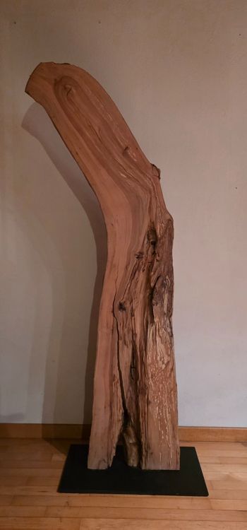 Esclusiva colonna in legno naturale - Un oggetto decorativo unico!