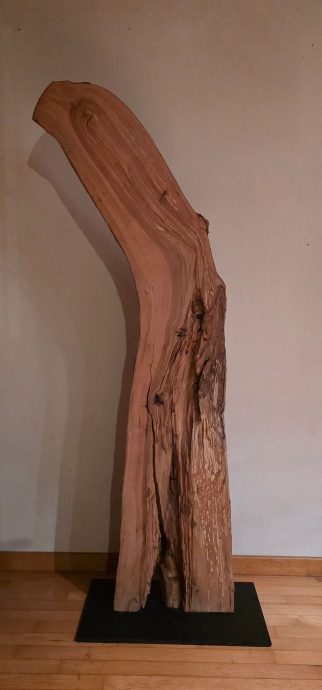 Esclusiva colonna in legno naturale - Un oggetto decorativo unico! - Image 1