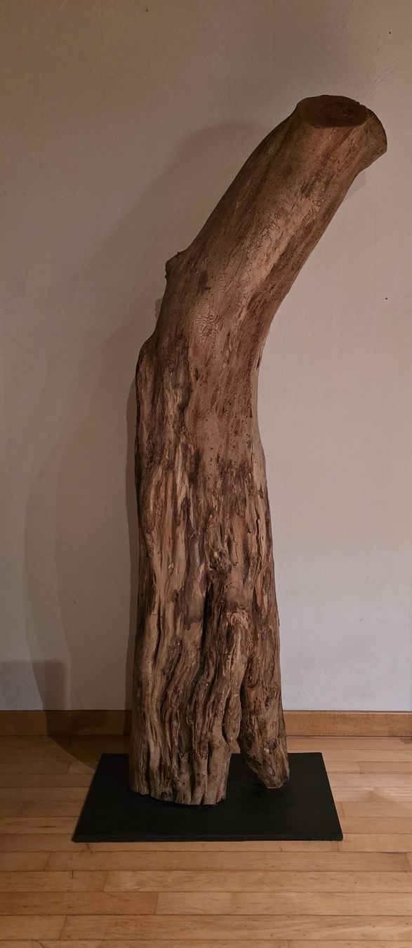 Esclusiva colonna in legno naturale - Un oggetto decorativo unico! - Image 3