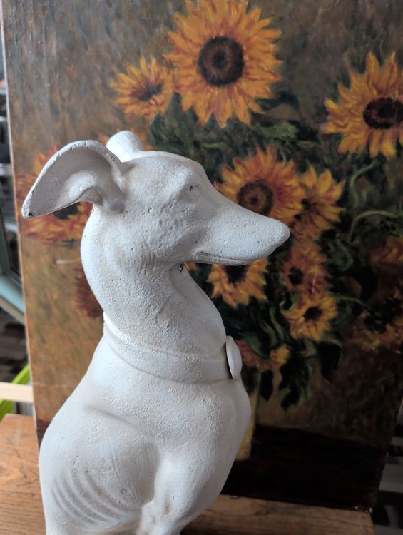 QUI DONATE PER UN WHIPPET WINDHUND GUSSEISEN TOP - Image 2