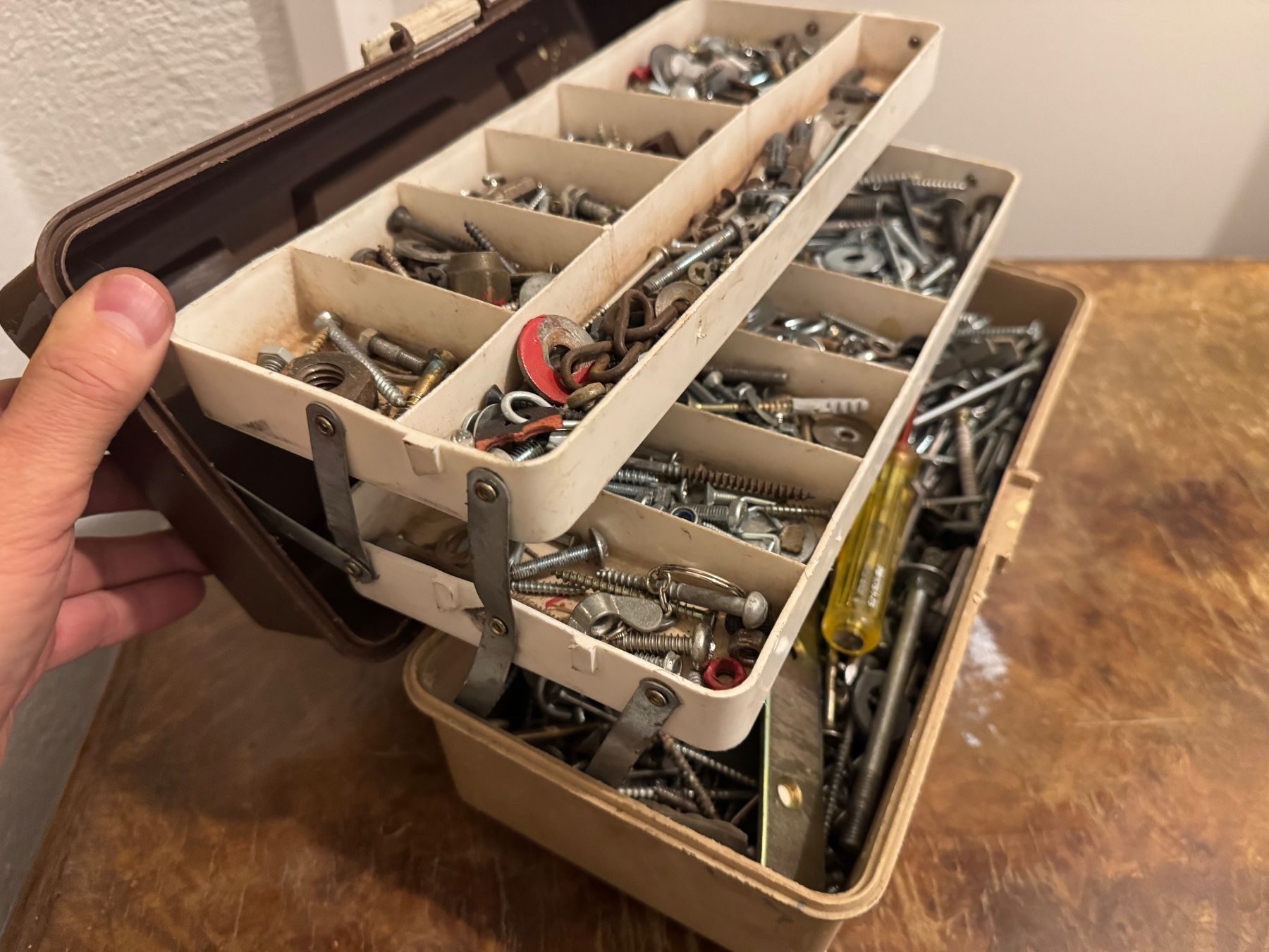 Grande assortimento di viti, dadi, scatole di utensili, ottimo! - Image 3