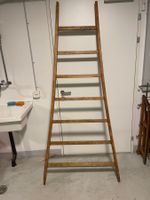 Leiter mit 7 Tritte ( Lot 151) Standort 5605 Dottikon - Image 3