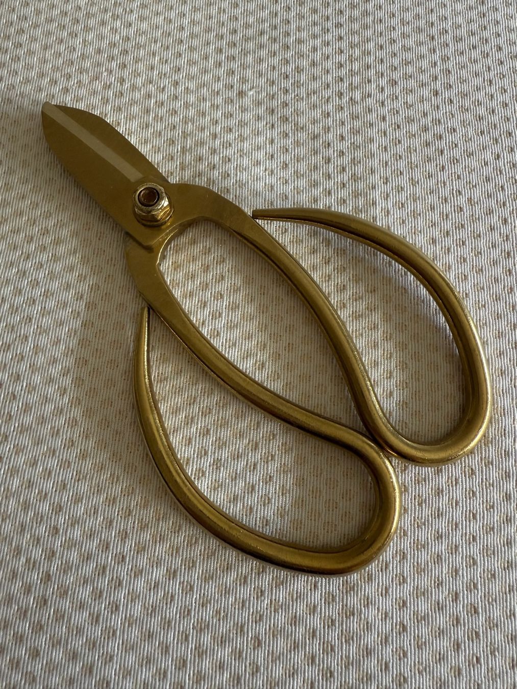 Forbici - Image 1