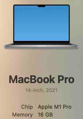 Apple MacBook Pro M1 Pro 14" - 16 GB RAM - 512 GB SSD