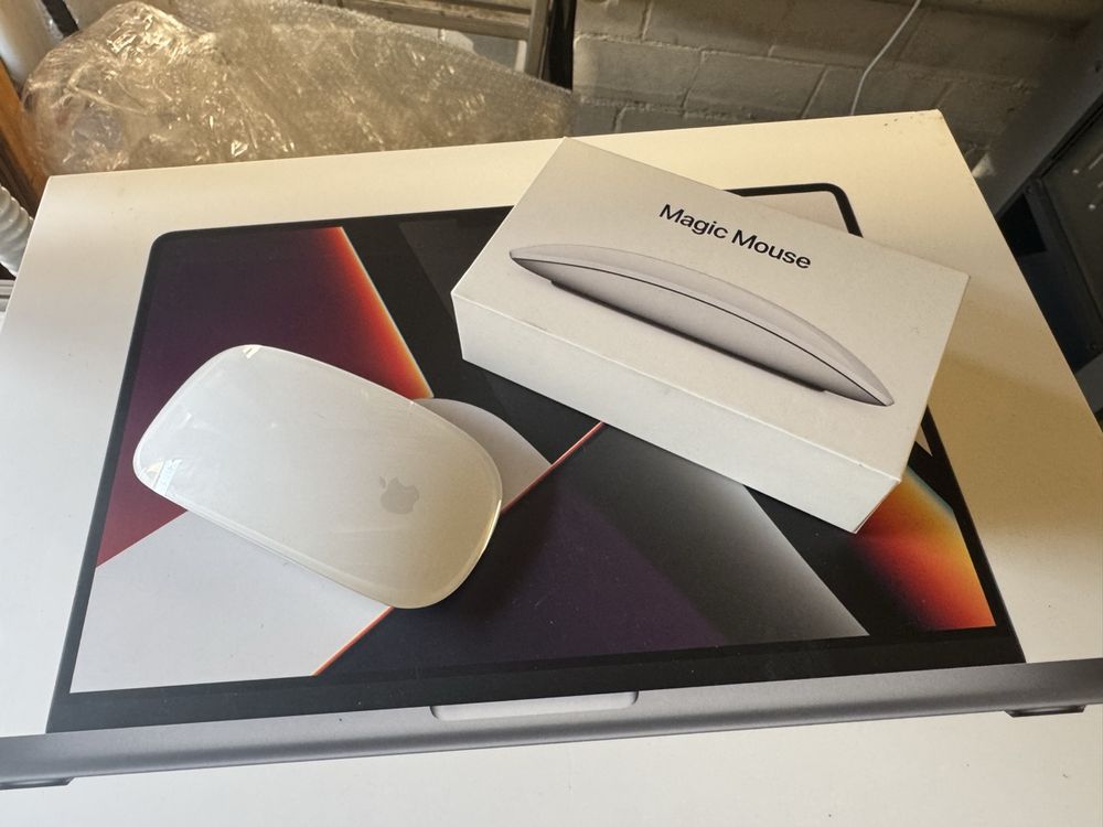 Apple Magic Mouse - Ottime condizioni - accedi adesso!