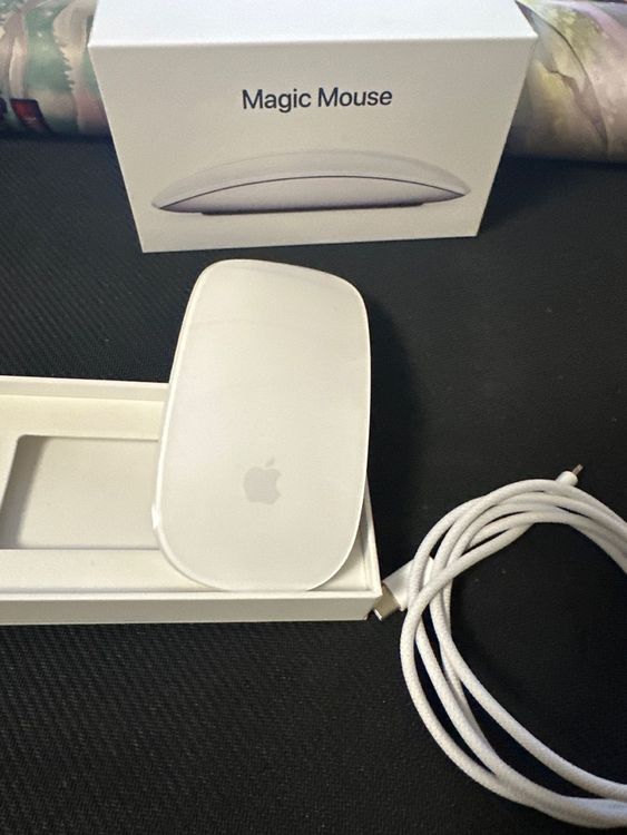 Apple Magic Mouse, ottimo stato, offerta invernale!