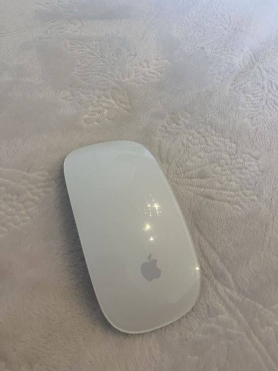 Apple Maus