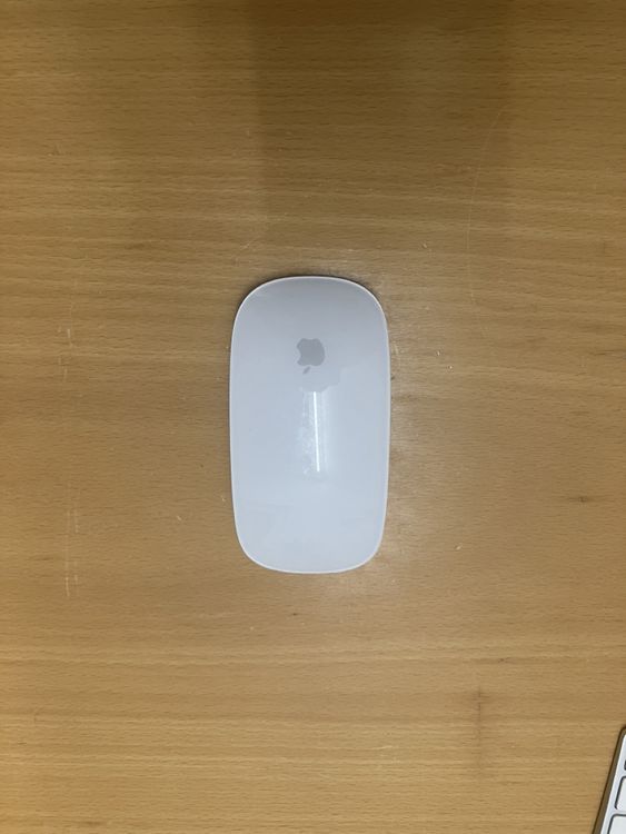 Magic Maus Apple con cavo e batteria
