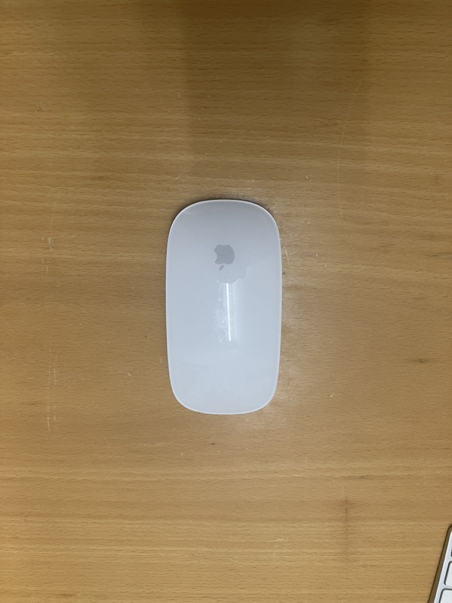 Magic Maus Apple con cavo e batteria - Image 1