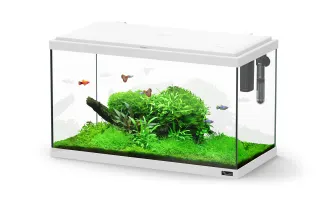 Aquatlantis - ACQUARIO DI PARIGI +FLTR+LED