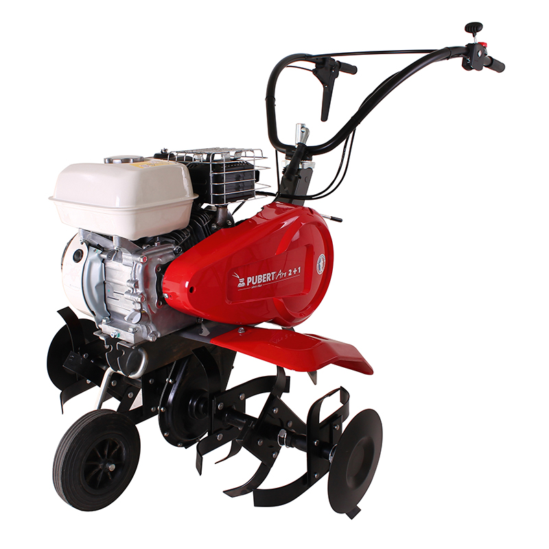 CERCHIO PUBERT 55 P C3
