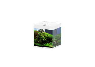 CIANO Acquario Emozioni Pro 40 Bianco