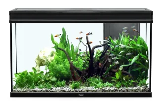 Elegance Expert Acquario 100 LED neri - L.102,2 x L.40,4 x H.60cm
