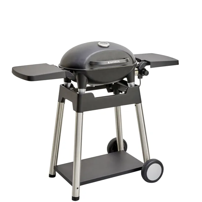 Griglia Elettrica Materiale Hyperion 2200 W
