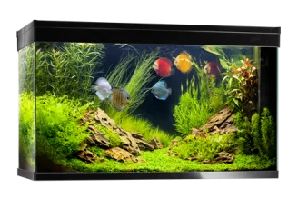 Inwa - Acquario Comfort 197Pro - L.102 x P.40 x H.61 cm