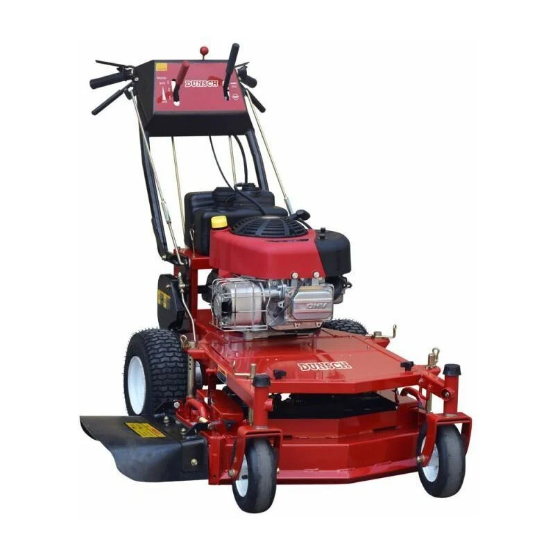 Rasaerba professionale a taglio termico 81cm Briggs Stratton 10,5 HP 344 cc DUNSCH 12344-81BS